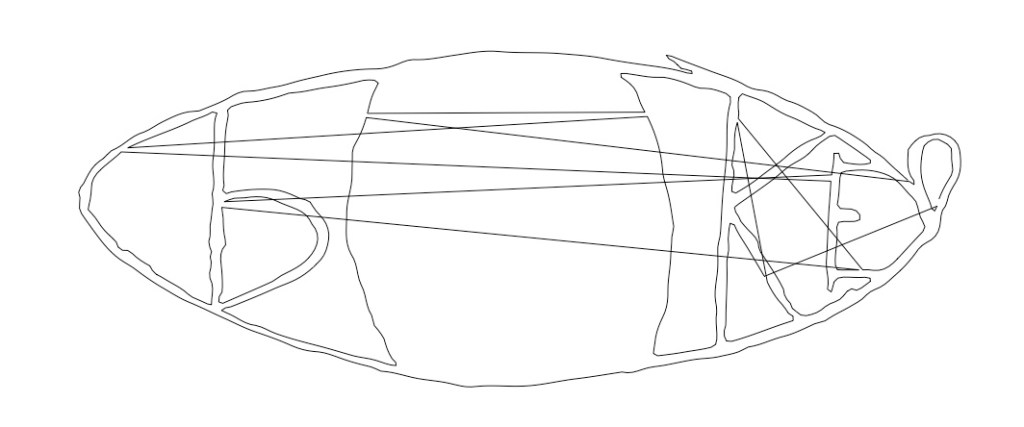 A vector drawing of the above draw except the 'P' looks like a lower-case 'b' and the teardrop is going up and there's only the outline of the iris with no coloring inside and no pupil, and there are several lines zigzagging across the image.